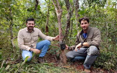 Meio Ambiente e Instituto ICAS divulgam os primeiros resultados do monitoramento de fauna no Parque do Pombo
