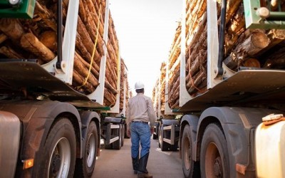 Eldorado Brasil está contratando motoristas tritrem
