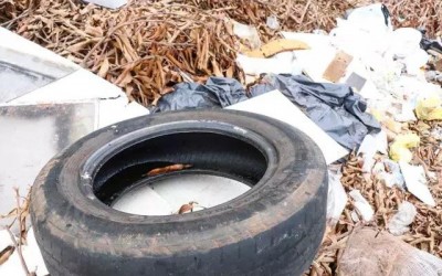 Três Lagoas é a 2º cidade de MS que mais registrou casos de dengue 