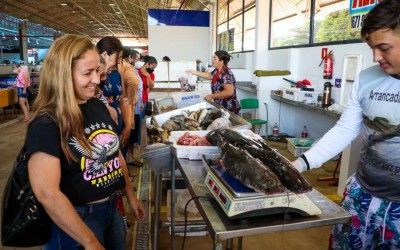 Inscrição para 8ª Feira do Peixe começa nesta quarta-feira