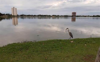 Semana começa com friozinho, mas máxima deve chegar aos 30ºC em Três Lagoas