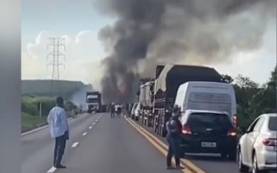 Carreta carregada com toras de eucalipto pega fogo na BR-262 