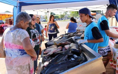 Vem pra Feira – 9º Feira do Peixe começa nessa quinta-feira 28 de março