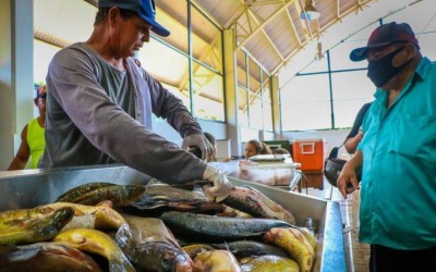 Inscrições para a 9ª Feira do Peixe começam segunda-feira (11)