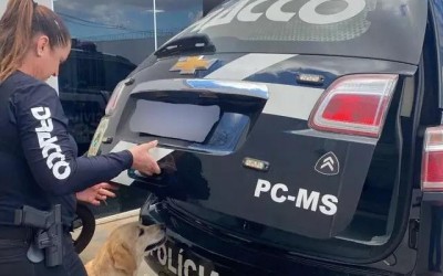 Homem condenado por matar duas pessoas queimadas em SP é preso em MS 