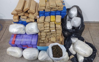 Prejuízo ao crime: Mais de meio milhão em drogas são apreendidos Polícia Civil de Três Lagoas 