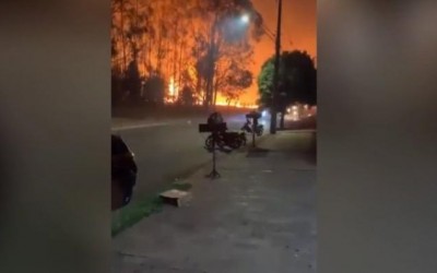 Incêndio em vegetação atinge área de mata nativa do Exército 