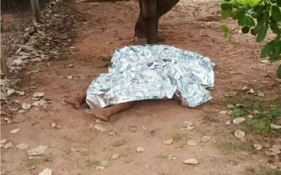 Acusados de matar homem a facadas não aparecem em júri, mas são condenados 