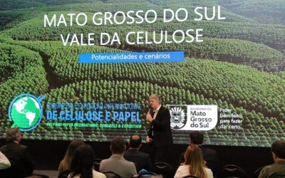 Área plantada de florestas em MS é a que mais cresce no país