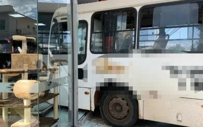 Veja o vídeo: Ônibus invade pet shop no centro de Três Lagoas após falha mecânica