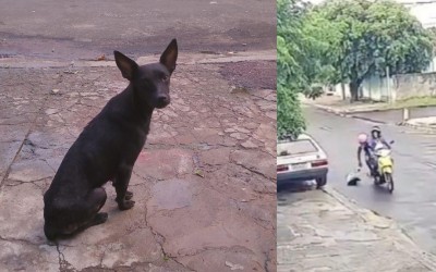 Abandono gravado termina em prisão e multa no interior de MS