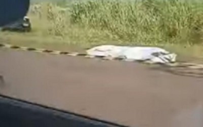 Corpo de homem é encontrado com tiro na cabeça na MS-295