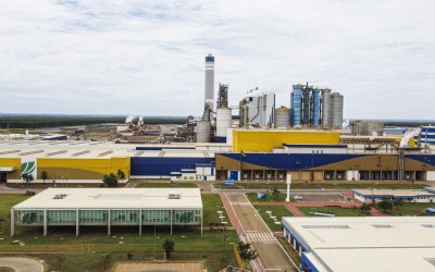 Parada Geral da Suzano Impulsiona Economia de Três Lagoas