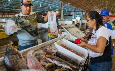 Três Lagoas tem pescado fresquinho e economia garantida nesta quinta com a 10ª Feira do Peixe – das 6h às 18h