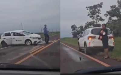 Motorista atropela anta na BR-060, em Sidrolândia-MS