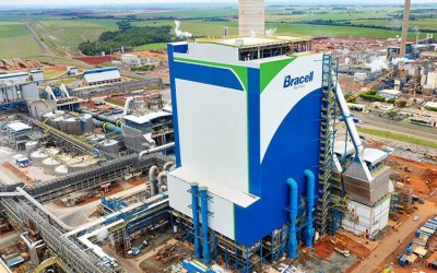 MS pode ganhar nova fábrica de celulose da Bracell e se consolidar como potência global no setor