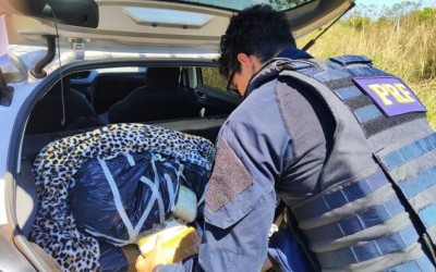 Rota do tráfico: PRF apreende 107 quilos de maconha na BR-262 e causa mais prejuízo ao crime 