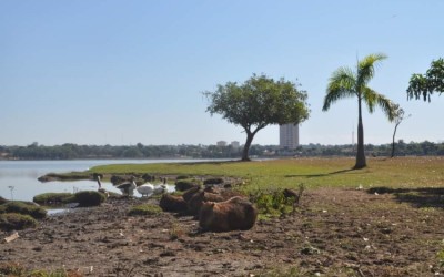 Veja como fica o tempo nesta quarta-feira em Três Lagoas e região