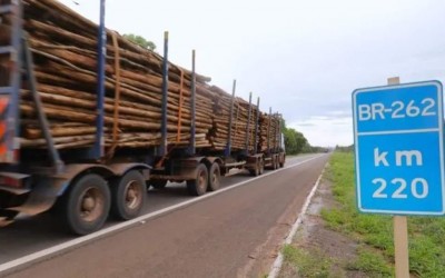 Longe dos filhos para garantir o pão: Caminhoneiros e motoristas de ônibus de Três Lagoas passam Dia dos Pais na estrada
