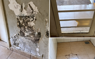 Vergonha em Três Lagoas na gestão de Cassiano Maia que arrecada milhões: Mofo, pragas e áreas interditadas fazem MP cobrar reforma urgente de abrigo municipal