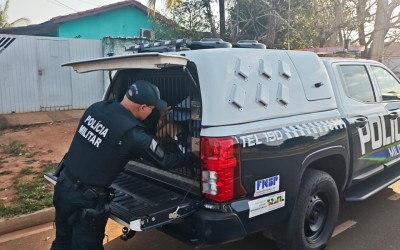 Não passou no teste psicológico da PM: Foragido há seis anos gagueja durante abordagem e a “casa cai” em Três Lagoas