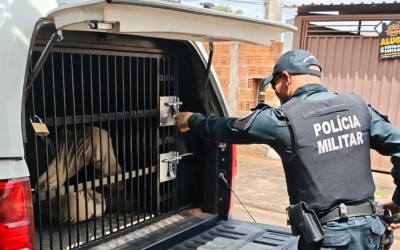 Dívida de R$ 250 podem parecer pouco, mas deu cadeia de 45 dias em Três Lagoas