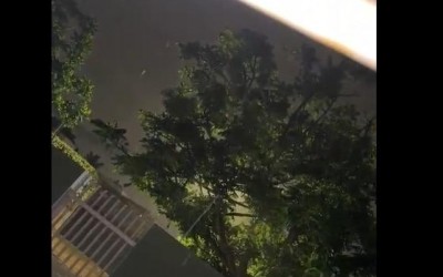 VEJA O VÍDEO: Moradora agradece a Deus pela chegada da chuva em Três Lagoas