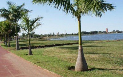 Depois de dias de chuva, Três Lagoas terá segunda-feira de sol, tempo firme e temperaturas de até 29°C