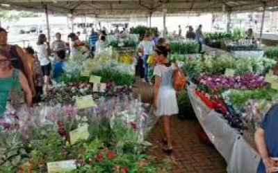 9ª edição da Expo Flor APAE arrecadou mais de R$ 22 mil