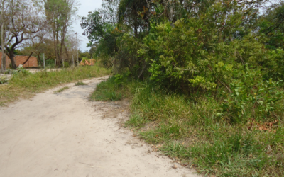 PMA autua infrator em R$ 5 mil por invadir e degradar área protegida de matas ciliares 