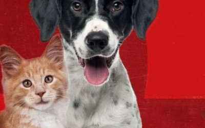 Equipe do CCZ realiza mais um sábado de vacinação de cães e gatos