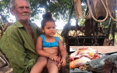 Leite de vaca abatida servia de alimento para criança de 2 anos 