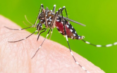 Unidades de Saúde abrirão em horário especial para atender casos suspeitos de dengue