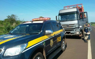 Eucalipto se desprende de carroceria e atinge viatura da PRF