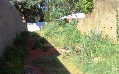 Donos de terrenos baldios serão notificados na próxima semana