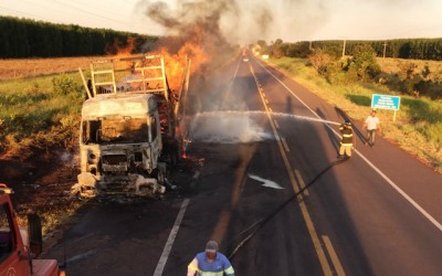 Carreta carregada com eucalipto é destruída pelas chamas na BR-262
