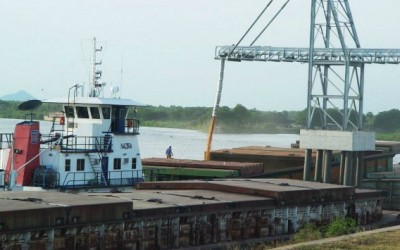 Indústria de celulose puxa superavit na balança comercial