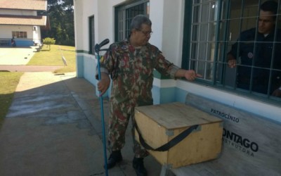 Família de Três Lagoas encontra cobra de 1 metro dentro de casa