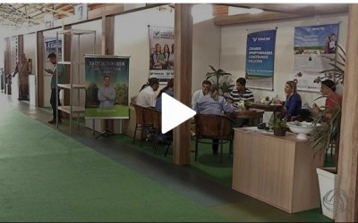 Evento Três Lagoas Florestal, MS, começa e proporciona conhecimento