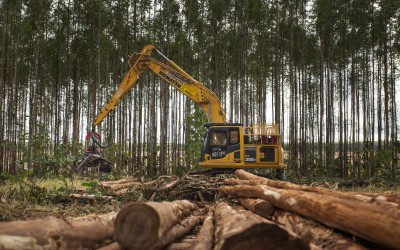 Curso de qualificação na área de Colheita Florestal abre oportunidades em Três Lagoas