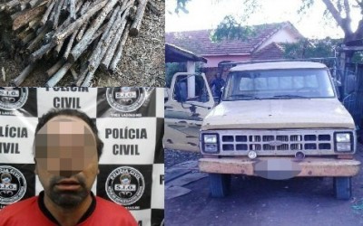 SIG esclarece furto de eucalipto que ocorreu na região da Fazenda Paranoá 