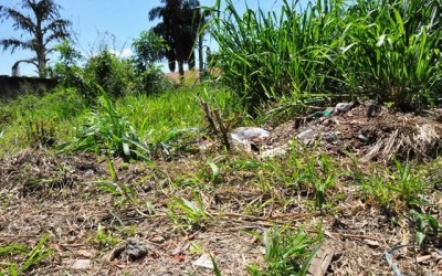 Donos de terrenos baldios começam a ser notificados em Três Lagoas