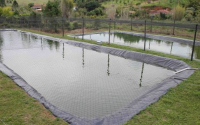 Imasul isenta de licença ambiental projetos de piscicultura de até cinco hectares