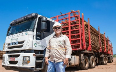 Eldorado Brasil oferece 29 vagas de trabalho para motoristas de Tritrem