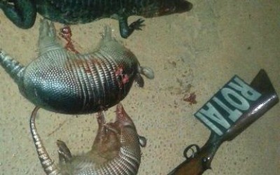 Jovens são presos após abaterem animais em reserva na divisa entre MS e SP  