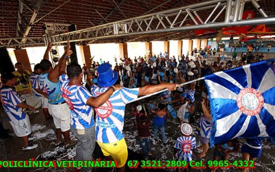 Acadêmicos Unidos de Três Lagoas se consagra campeã do Carnaval de Três Lagoas 