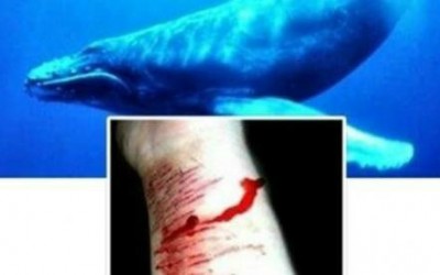 Aviso de envenenamento em desafio do ‘Baleia Azul’ deixa escolas em alerta