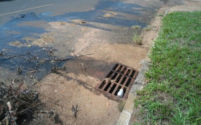  Prefeitura multa empresa de Três Lagoas em R$ 50 mil por crime ambiental 