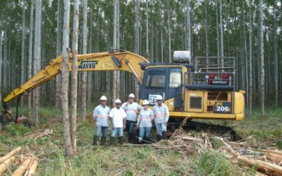 Fibria abre vagas para operadores de máquinas florestais em Três Lagoas