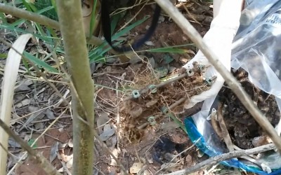 Mulher afirma que ossada encontrada é de seu irmão desaparecido em 2013